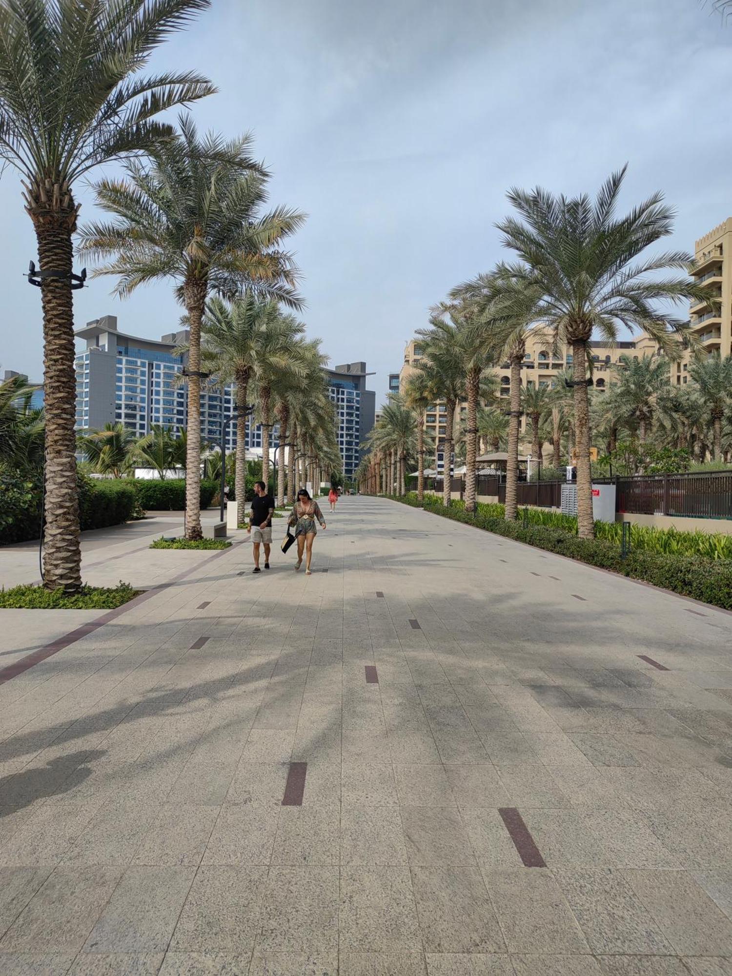 7 Palm Jumeirah Dubai Exteriör bild
